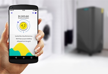 Evergen Mobile App